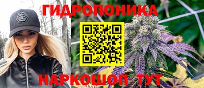 прущая мука Будённовск